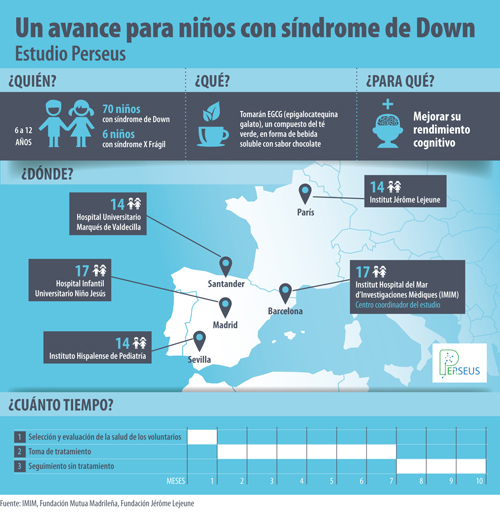 Infografía sobre el estudio PERSEUS